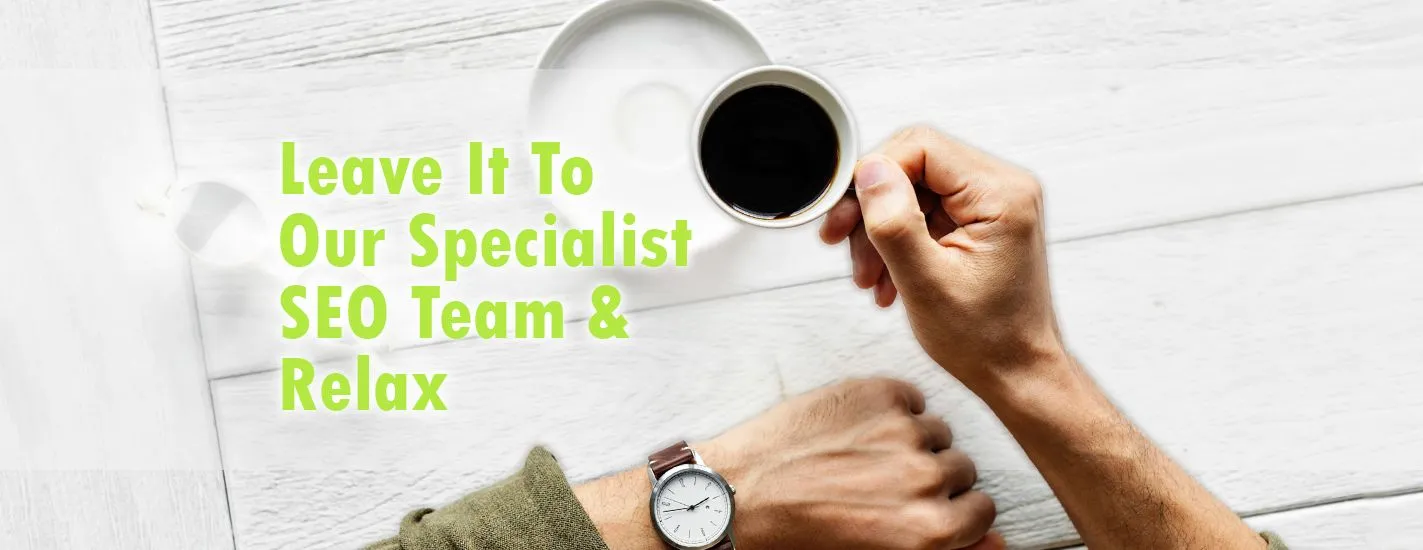 SEO Result services banner: Specialists at SEO